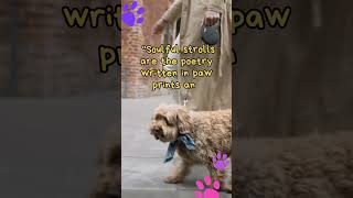 Doggy Wisdom: The art of dog walking in poetry | Daily dose of Sunshine #shorts #dogs