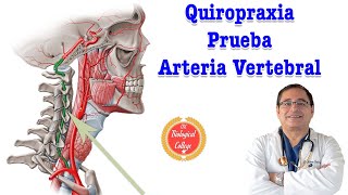 QUIROPRAXIA PRUEBA ARTERIA VERTEBRAL