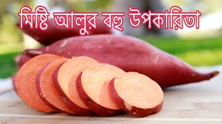 মিষ্টি আলুতে পুষ্টি উপাদানসমূহ | Many benefits of sweet potatoes Bangla