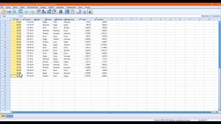 Standaryzacja zmiennych ilościowych wraz z interpretacją wyniku SPSS