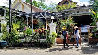 Mengganti Tanaman Hias Yang Mati Di Pagar Depan Rumah