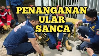 WARGA TAKUT, ADA ULAR BESAR