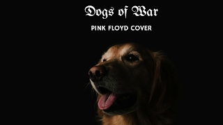 mb3 - dogs of war