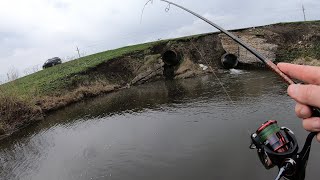 УДАР ещё УДАР!!! Крупный голавль на микроджиг в мае! Оказалось что Омут микроречки забит ГОЛАВЛЁМ!!!