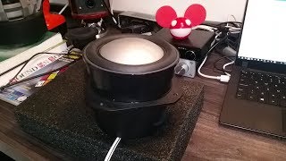 Strange Sony Subwoofer Driver Test