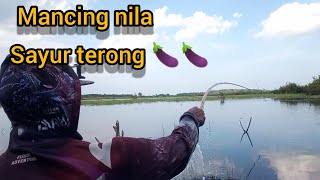 mancing nila sayur terong @bg chanel tbb mancing