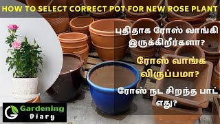 ரோஸ் செடி நட சரியான செடி தொட்டி/சட்டி எது? Tips to select right pot size for new rose plant in Tamil