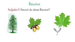 Sachunterrichts Quiz - Homeschooling Klasse 1