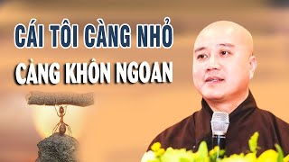 Thấy mình KHÔNG LÀ GÌ CẢ sẽ có TẤT CẢ  - Thầy Pháp Hòa