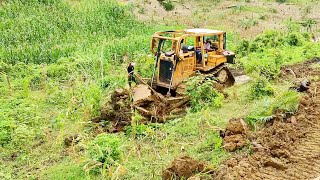 From the Ground to Glory The Miracle of D6R XL Bulldozer Terrace Construction!