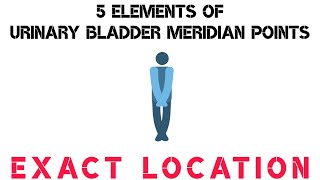 5 Elements of Urinary Bladder Meridian Points I Exact Location