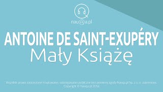 MAŁY KSIĄŻĘ – Antoine de Saint-Exupery - streszczenie i opracowanie lektury - audiobook @nauqa