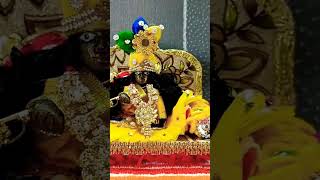 Laddu Gopal / Happy Janmastami 2022 #shorts