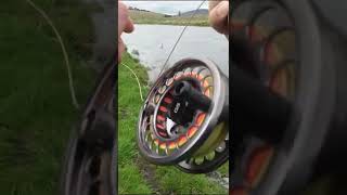 This is what it's like fly fishing in Australia - Murrumbidgee river