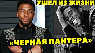 УШЕЛ ИЗ ЖИЗНИ АКТЕР ЧЕДВИК БОУЗМАН