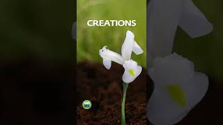 Nature’s secret - Save soil #sadhguru #savesoil #nature # shorts