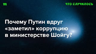 Чем Шойгу и его министерство провинились перед Путиным?