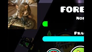 Geometry Dash Level Request (Rat Cam)