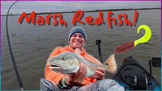 Kayak Trip In The Marsh For Redfish With My Buddy Walter