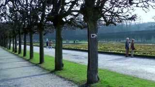 Schloss Augustusburg in Brühl