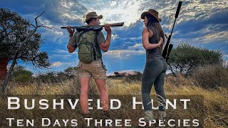 Bushveld Hunt Ten Days Three Species - Trailer!