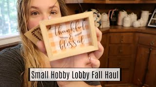 Small Fall Hobby Lobby Haul | Day In The Life | Laura Janette