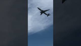 United airlines 737 MAX 8 taking off from Miami airport #miamiairport #aviation #737takingoff #short