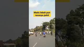 Madu lebah pun rasanya pahit #youtubeshorts #video