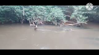 vídeo cachoeira do riu capim