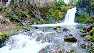 Сахалин - водопад, релаксирующее видео