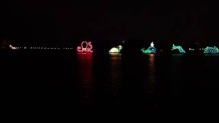 Disney worlds light show on water from Polynesian resort