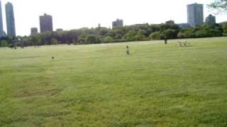 Sophie at the park by the lake