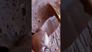 Chocolate ASMR video #shorts #viral #asmr