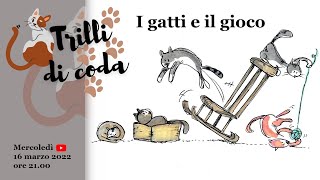 I gatti e il gioco