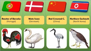 National Birds From Different Countries