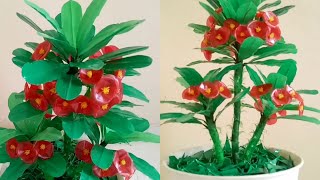 DIY-How To Make FLowers Ephorbia//Cara membuat bunga ephorbia // handicrafts//Diy-Art-Decorative