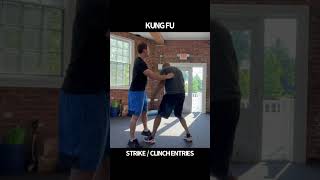 Kung Fu Strikes & Clinch Entries #shorts