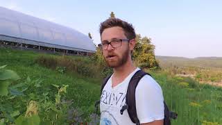 Comfrey FPJ (Fermented Plant Juice) and Companion Planting with Justin From LeeInTheTree