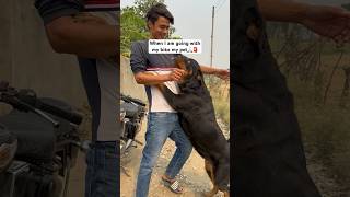 Me Gira hua Banda Jama nich Baliya 🤪⚠️#rottweiler #shorts #youtubeshorts #comedy #viral