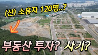 1억짜리 산을 20억에 팔았네요 ㅜㅜㅜ