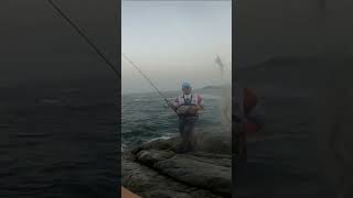 Squid fishing off the Rocks | #fishing  | #fishingvideo