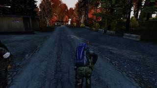 DayZ