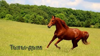 Вокальный ЗООПАРК 🟠Конь🐎Дикция👌