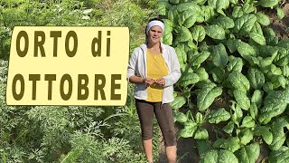 ORTO di OTTOBRE cosa c'è