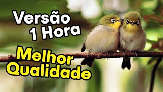 💕 Mantra Do Amor | Mantra Irresistível Para Atrair O Amor