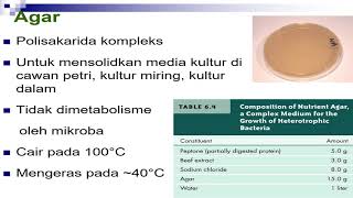 Media Pertumbuhan Mikroba (Bakteri Part 3/5)