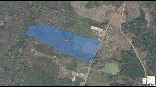 Lots And Land for sale - T.B.D. N Nichols Hwy., Nichols, SC 29581