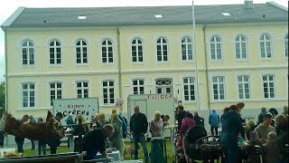 Pfingstmarkt auf Gut Oestergaard -  mit Treffen des Deutschen Teckelclub Schleswig (6. Juni 2022)