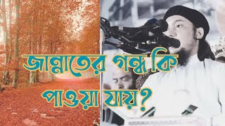 জান্নাতের গন্ধ কি পাওয়া যায়? || আবু ত্বোহা মোহাম্মদ আদনান || #Islamic_lecture