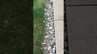 Why￼￼ is my cement porch cracking & sinking? Inside or outside French drain trough clogged or broken